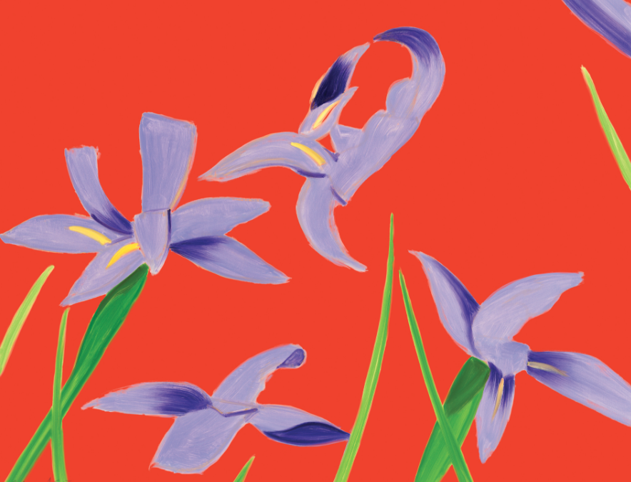 Purple Irises on Red