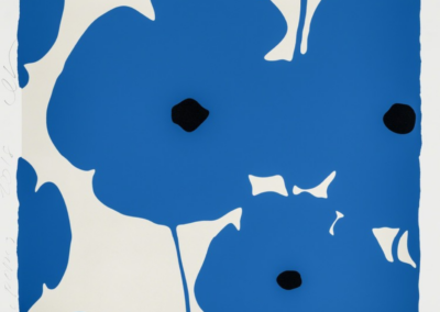 Blue Poppies