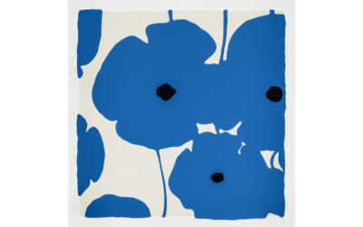 Blue Poppies