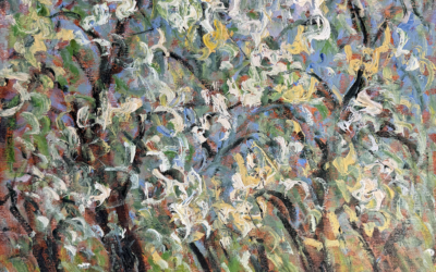 Verger en fleur, St-Hilaire