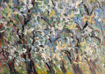 Verger en fleur, St-Hilaire