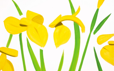 Yellow Flags on White
