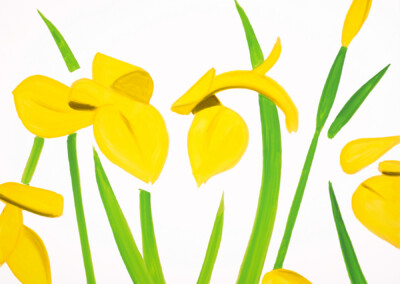 Yellow Flags on White