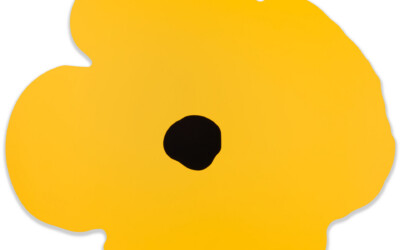 Yellow Wall Poppy