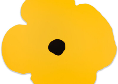 Yellow Wall Poppy