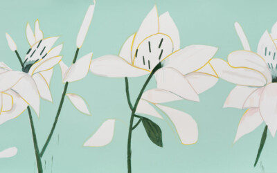 White Lilies 6