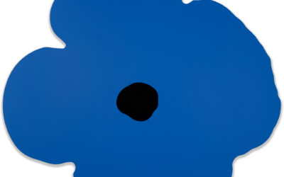 Blue Wall Poppy