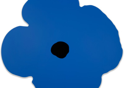 Blue Wall Poppy
