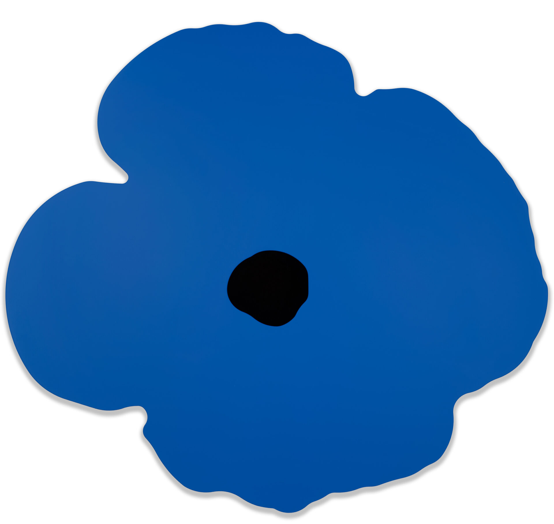 sultan_blue_wall_poppy