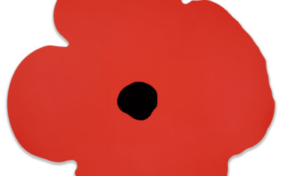 Red Wall Poppy
