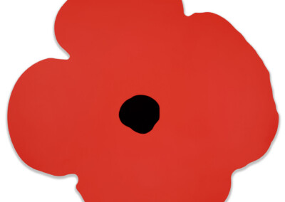 Red Wall Poppy