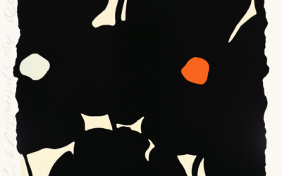 Black Poppies with Colors