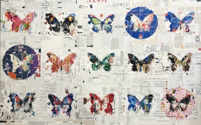 Social Butterfly